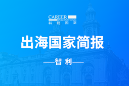 凯发k8官网GO GLOBAL | 智利国家简报